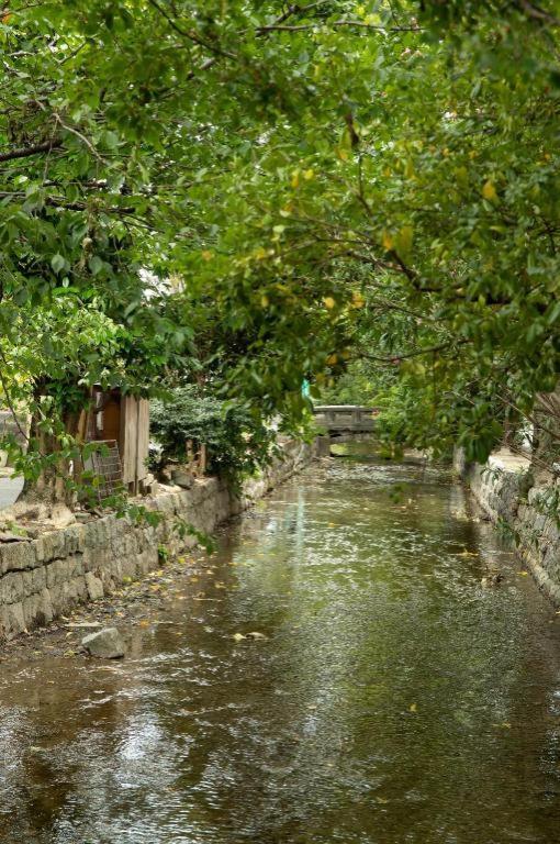 Kyoto Hatsune Hotel 外观 照片